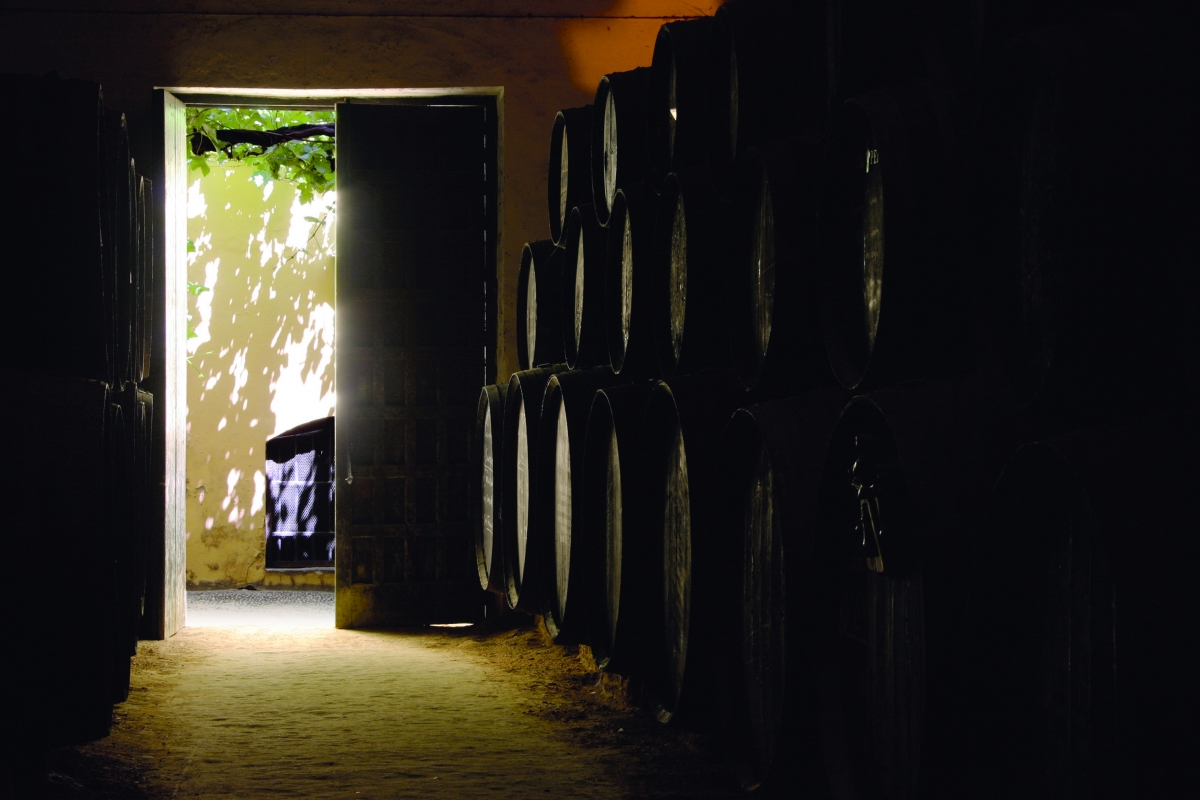 Vinos de Jerez Sherry Wines Bodegas VOS
