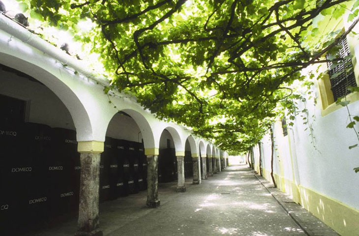Sherry Wine Bodegas Vinos de Jerez