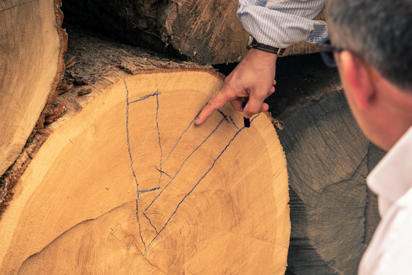 Selección de madera para el corte - Fotografía de Christopher Coates