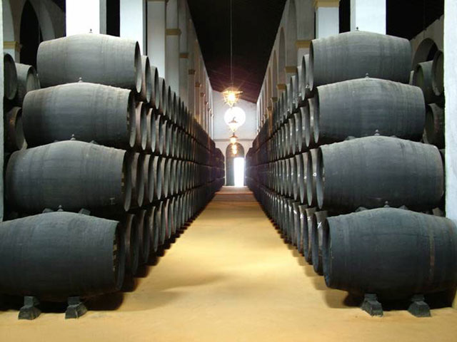 Vinos de jerez Sherry Crianza Ageing