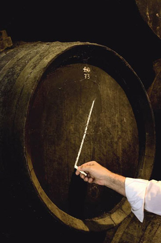 Vinos de Jerez Sherry Wine Classification