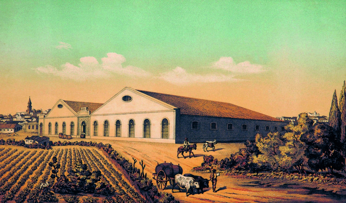 Sherry Wines Vinos de Jerez Historia