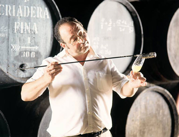 Vinos de Jerez Vinificacion Sherry Wines Venencia Vinificación