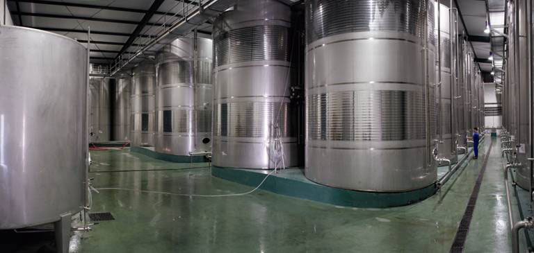 Vinification Sherry Wines Jerez Vinificación Vinos