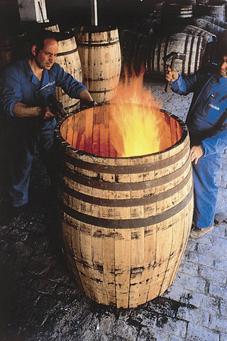 Vinosdejerez_Sherry_Botas