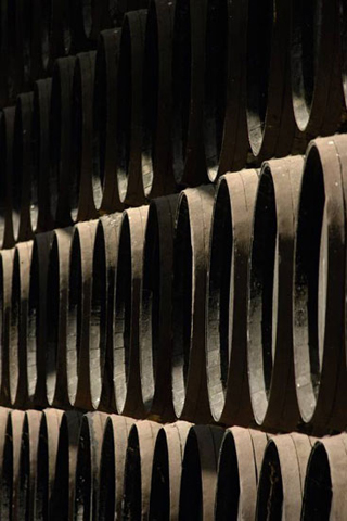 Vinos de Jerez Sherry Wines Botas Barrels