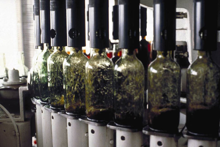 Sherry Wine Bottling Vinos de Jerez Embotellamiento