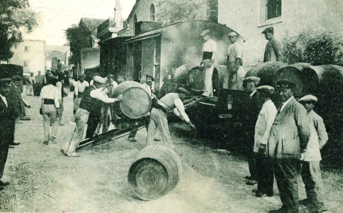 Vinos de Jerez Sherry Wines Historia