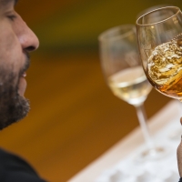 Vinos de Jerez Sherry Festival 