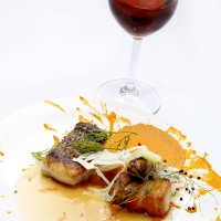 Copa Jerez 2015 Sherry Wines