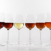 Vinos de Jerez Sherry Wines