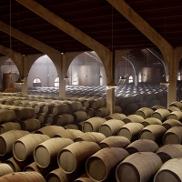 Sherry Wines Vinos de Jerez Bodegas