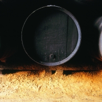 Vinos de Jerez Sherry Wines Bota