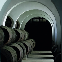 Sherry Wines Vinos de Jerez Bodegas 