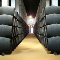 Vinos de Jerez Sherry Wine Bodegas Solera Criadera