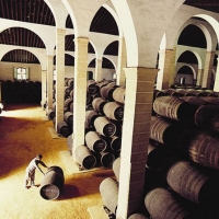 Vinos de Jerez Sherry Wines Bodegas
