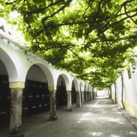 Vinos de Jerez Sherry Wines Bodegas