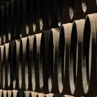 Vinos de Jerez Sherry Wines Bodegas 
