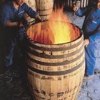 Vinos de Jerez Sherry Wines Botas Toneleros