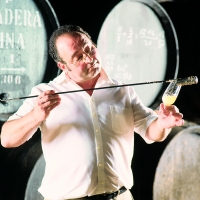 Sherry Wines Vinos de Jerez Venenciador