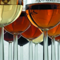 Vinos de Jerez Sherry Wines