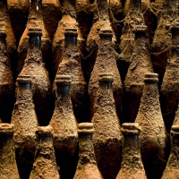 Vinos de Jerez Sherry Wines Bodegas