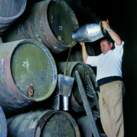 Vinos de Jerez Sherry Wines Rocio 