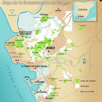 Vinos de Jerez Sherry Wines Mapa 