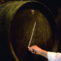 Vinos de Jerez Sherry Wines Bota 