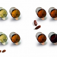 Vinos de Jerez Sherry Wines Tipos