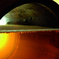 Sherry Wines Vinos de Jerez Flor