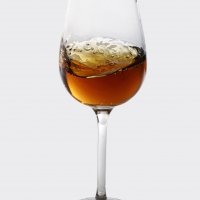 Vinos de Jerez Sherry Wines Amontillado 