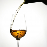 Vinos de Jerez Sherry Wines Amontillado 