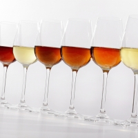 Vinos de Jerez Sherry Wines 