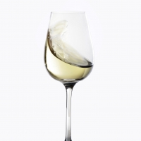 Vinos de Jerez Sherry Wines Manzanilla