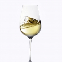 Vinos de Jerez Sherry Wines Pale Cream