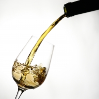 Vinos de Jerez Sherry Wines Pale Cream