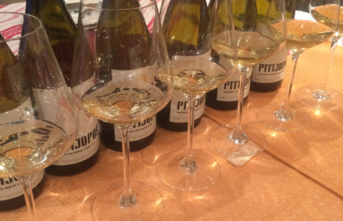 Pitijopos Volume I: From North to South 