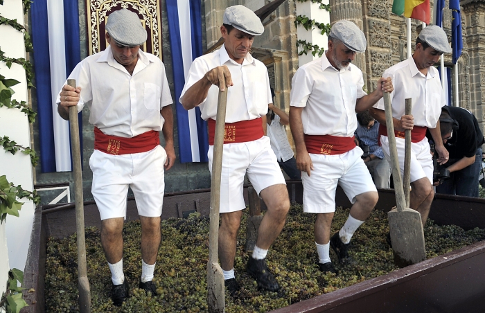 Harvest Festival Jerez 