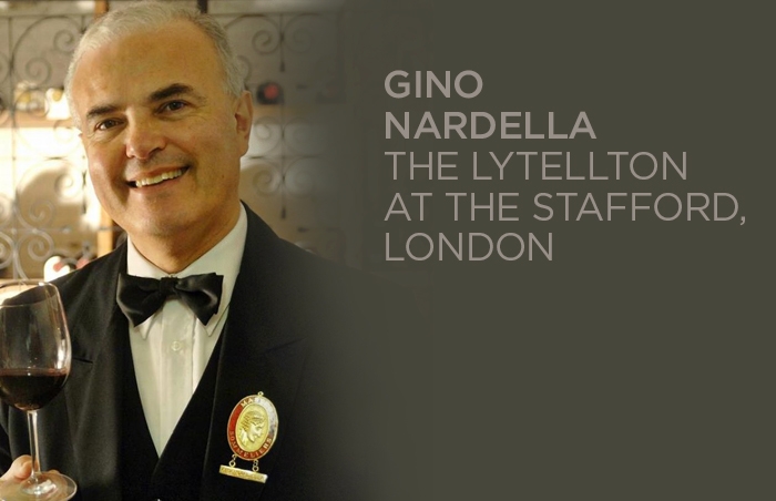 Gino Nardella MS