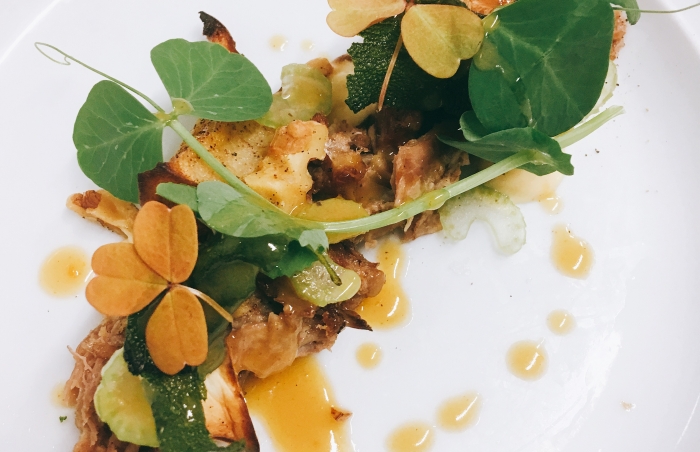 Duck a la Orange - "Mantzius Style"