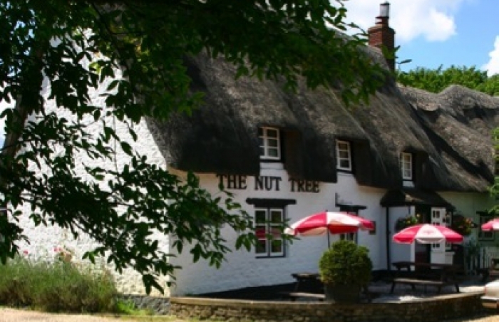 Nut Tree