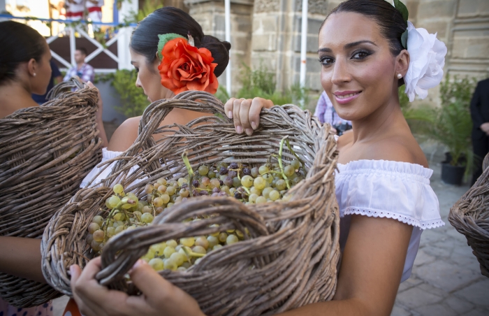 Harvest Festival Jerez