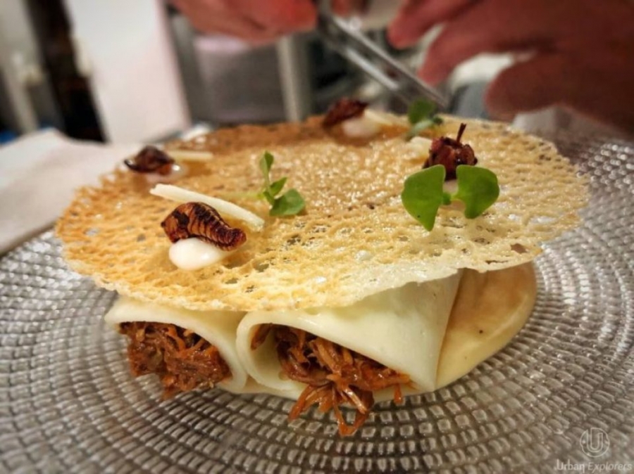 Pork-cheek-canneloni-with-grasshoppers-paired-with-oloroso-sherry-wines