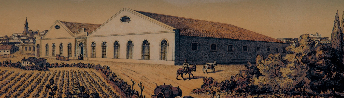 Jerez-Xérès-Sherry y Manzanilla-Sanlúcar de Barrameda