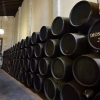 Bodegas Dios Baco