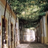 Bodegas Tio Pepe