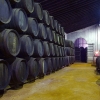 Bodegas Maestro Sierra