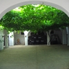 Bodegas Miguel Guerra