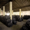 Bodegas Tradicion